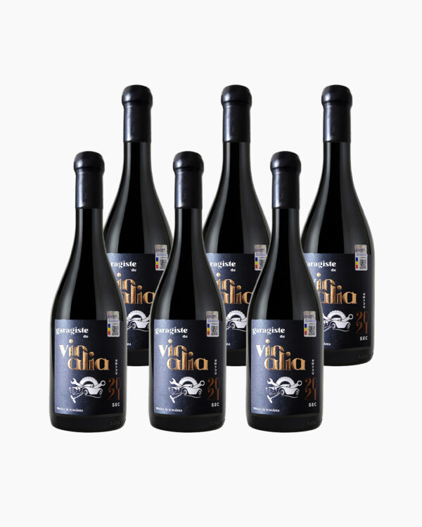Pachet "Garagiste de Vinalia" Cuvee (6 sticle)