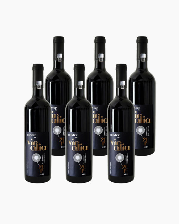 Pachet "Mister de Vinalia" Cabernet Sauvignon (pachet 6 sticle)